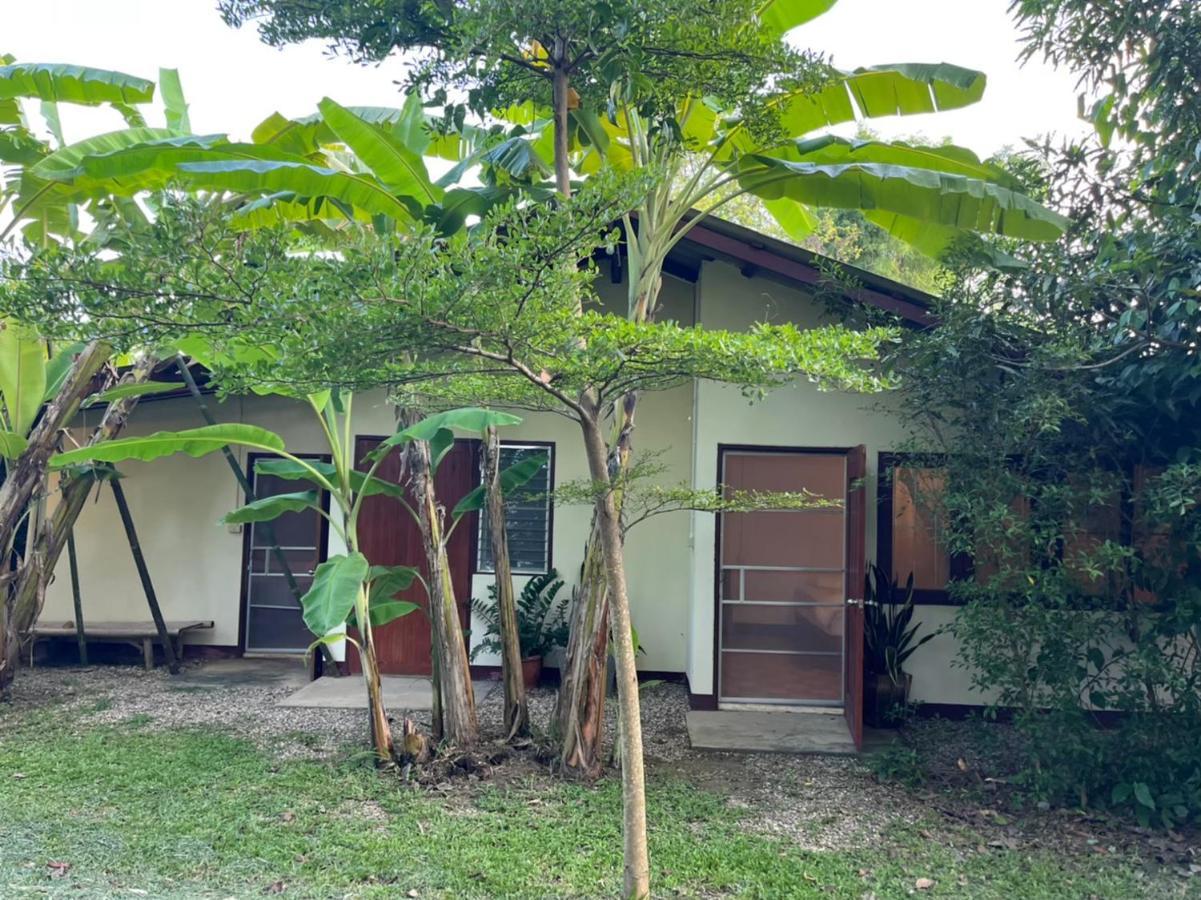 Brown House Chiangdao Chiang Dao Exterior foto